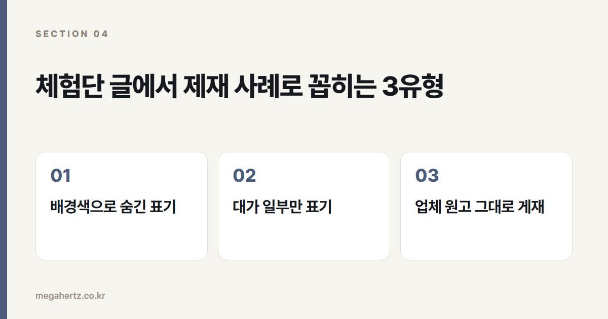 체험단 글에서 제재 사례로 꼽히는 3유형
