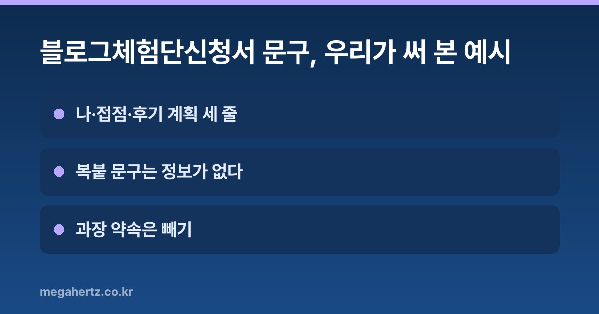 블로그체험단신청서 문구, 우리가 써 본 예시