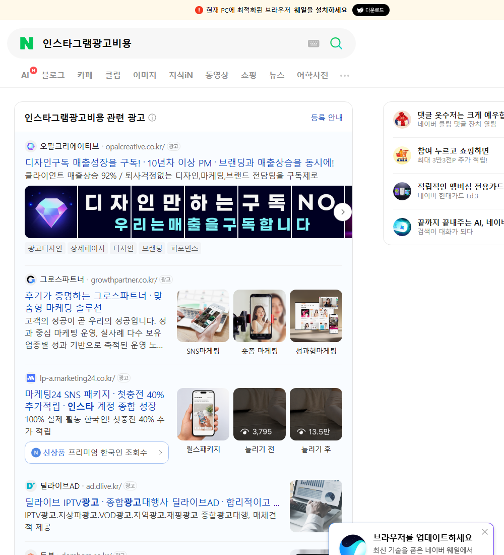 인스타그램광고비용 네이버 검색 화면