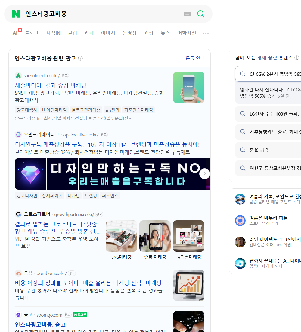 인스타광고비용 네이버 검색 화면