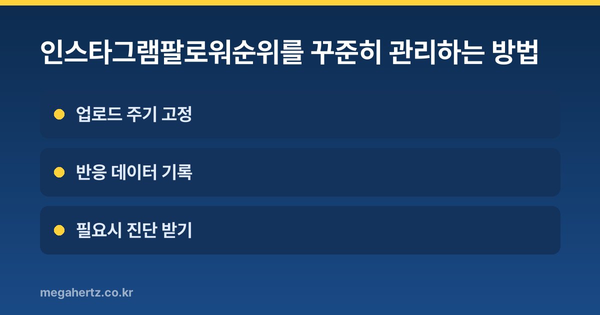 인스타그램팔로워순위를 꾸준히 관리하는 방법