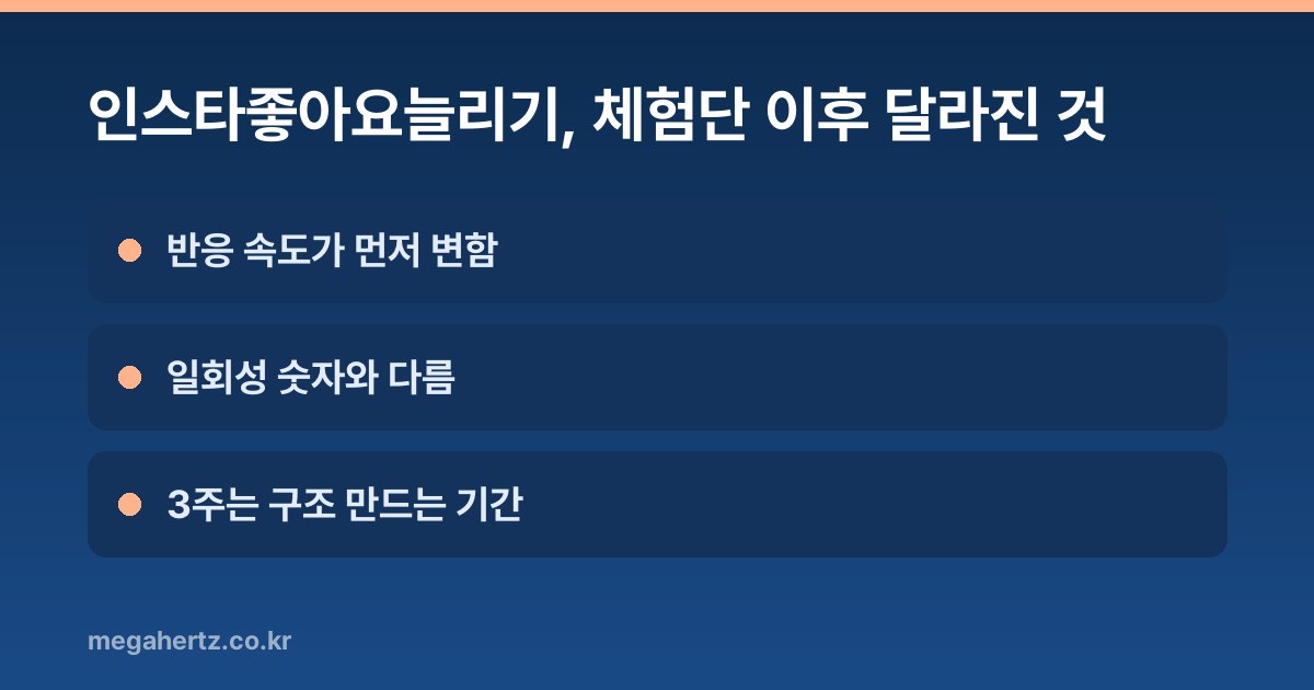 인스타좋아요늘리기, 체험단 이후 달라진 것