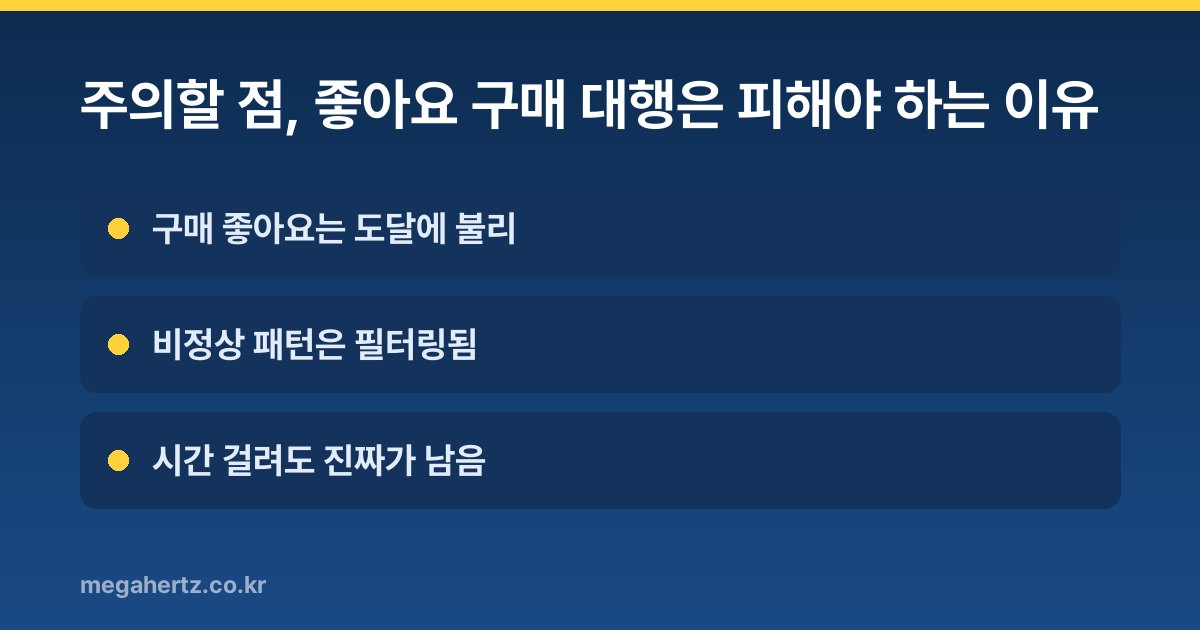 주의할 점, 좋아요 구매 대행은 피해야 하는 이유
