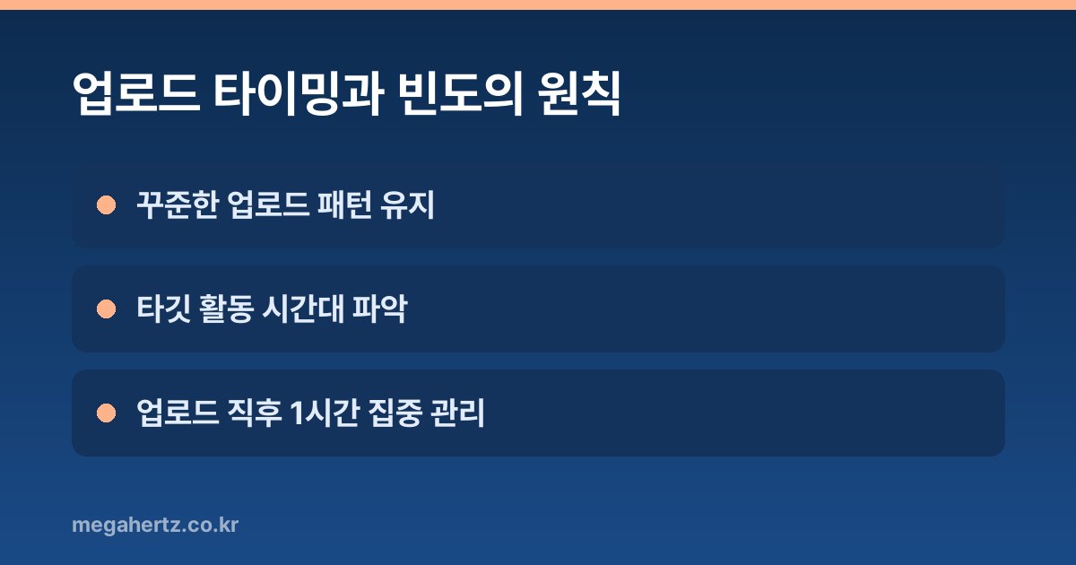 업로드 타이밍과 빈도의 원칙