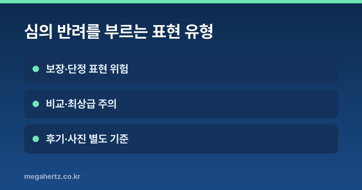 심의 반려를 부르는 표현 유형