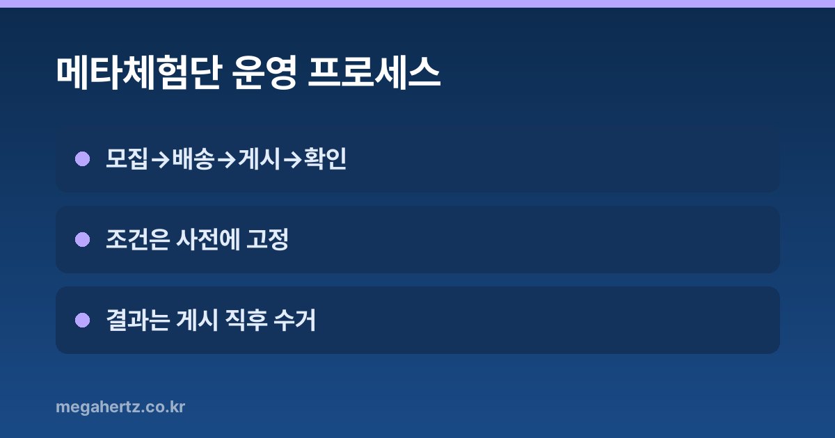 메타체험단 운영 프로세스