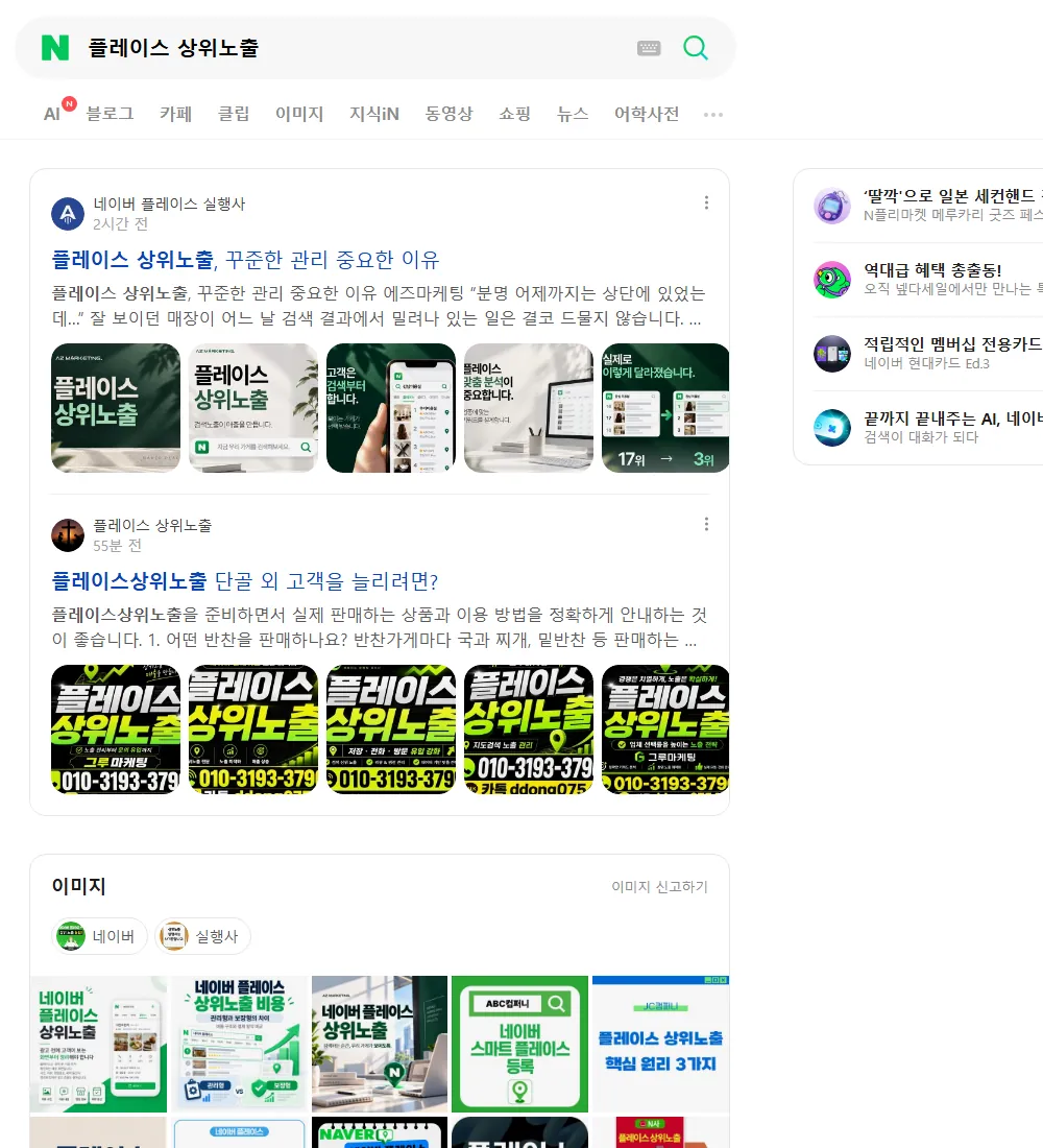 플레이스 상위노출 네이버 검색 화면