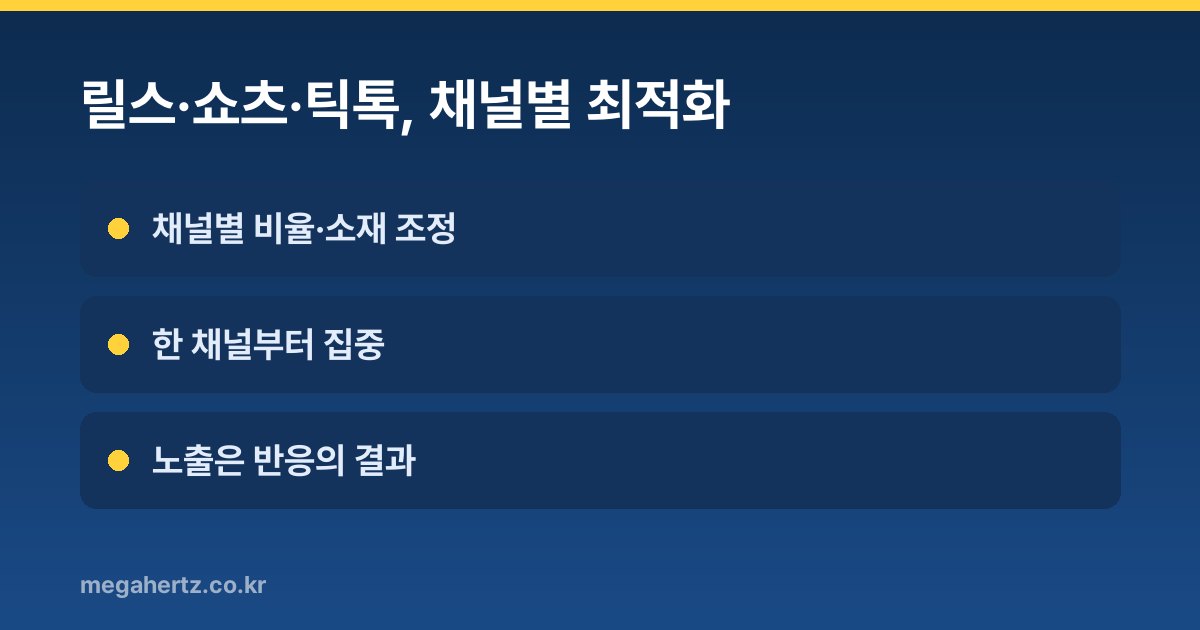 릴스·쇼츠·틱톡, 채널별 최적화