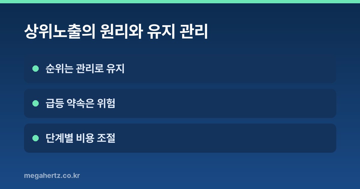 상위노출의 원리와 유지 관리