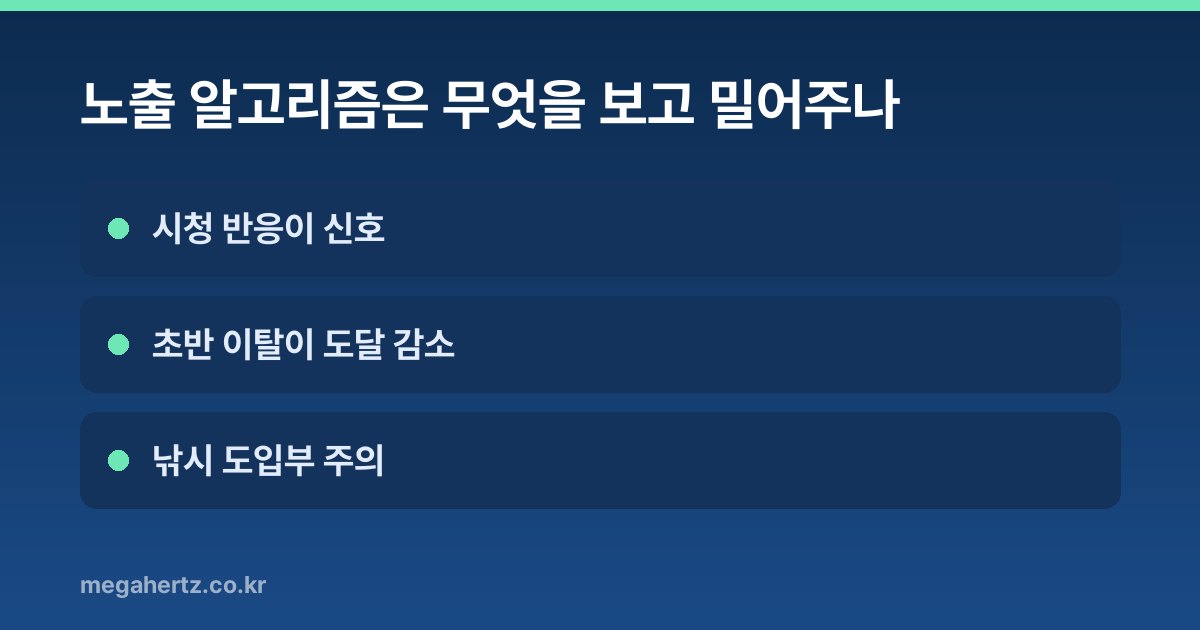 노출 알고리즘은 무엇을 보고 밀어주나